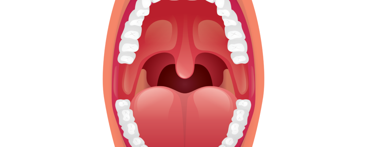 vector illustration of open mouth showing healthy tonsils