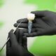 Dental Implants in Olds